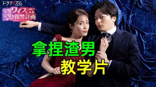 完美妻子的完美复仇计划,一场精心策划的逆袭风暴