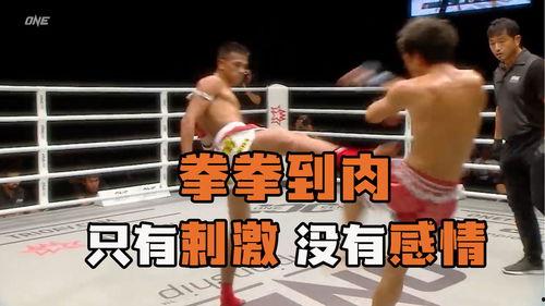 拳拳到肉,激战正酣的格斗世界