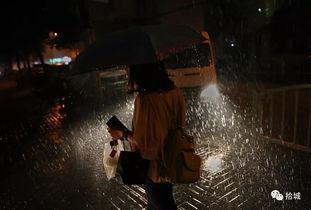 天黑以后,天黑后的神秘世界探秘”